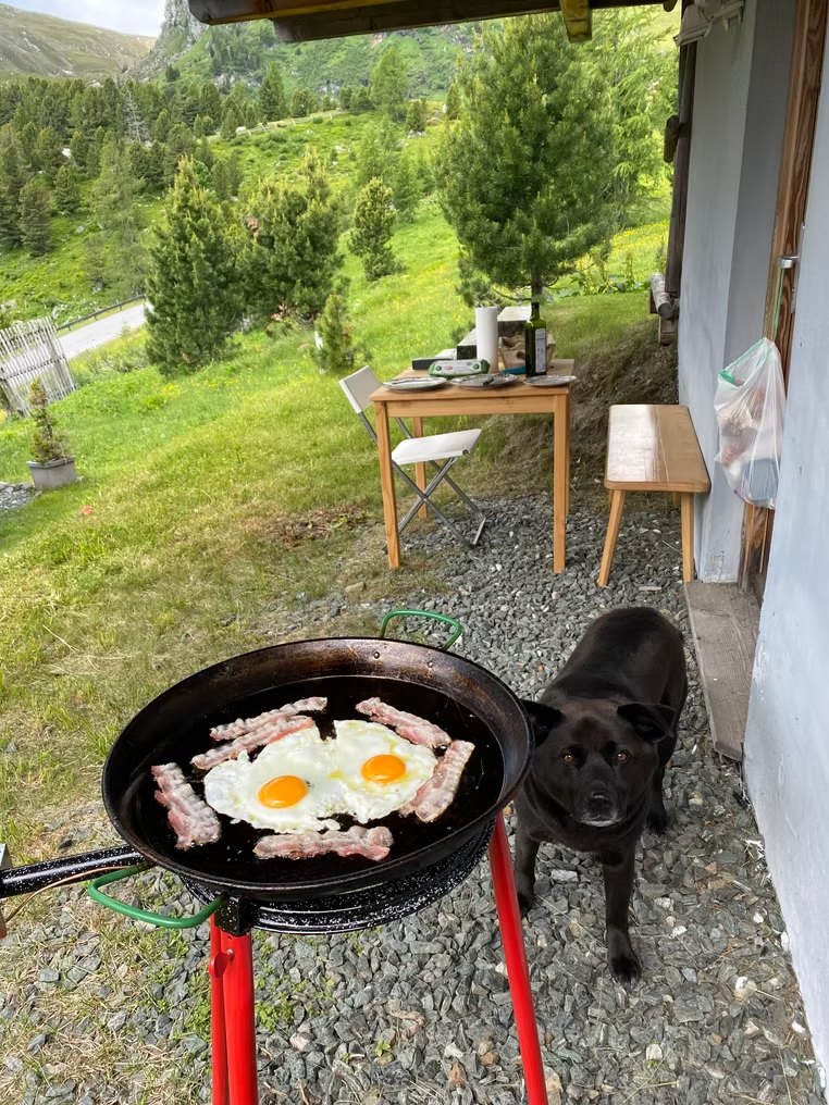 Spiegeleier mit Speck in der Pfanne vor dem Haus, daneben der Hund und der gedeckte Tisch im Grünen