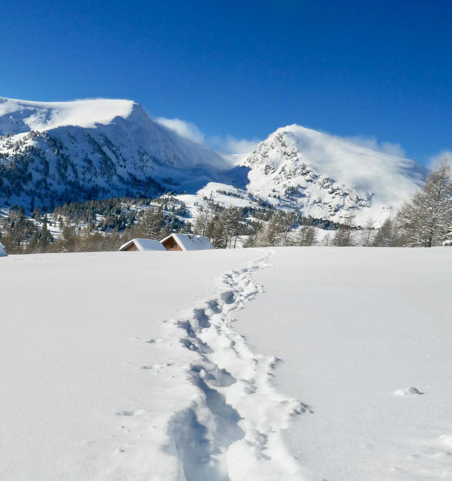 Fußspuren im Tiefschnee vor dem sonnigen Bergpanorama am Falkert